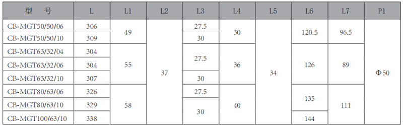 CB-MGT-三雙聯齒輪泵-型號1.jpg